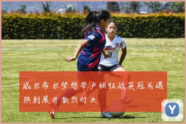 威尔希尔梦想带卢顿征战英冠或遇热刺展开激烈对决